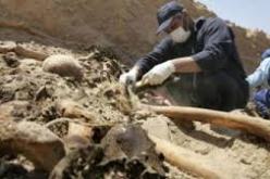 اكتشاف مقبرة جماعية داخل مغارة بمنطقة رأس الماء في سكيكدة
