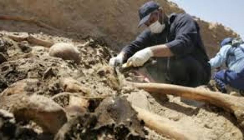 اكتشاف مقبرة جماعية داخل مغارة بمنطقة رأس الماء في سكيكدة