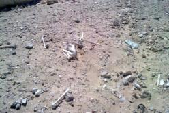 العثور على رفات 3 أشخاص في المنطقة الصناعية بالمغير في الوادي