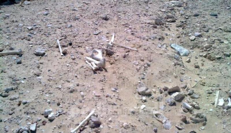 العثور على رفات 3 أشخاص في المنطقة الصناعية بالمغير في الوادي