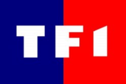 TF1  تصنّف الجزائريين أقل شعب ذكاءً في العالم