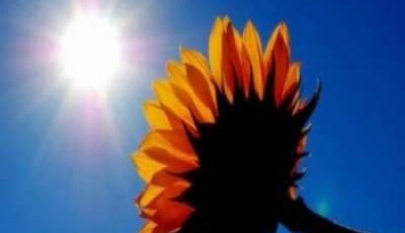 أجواء ربيعية على المناطــق الشماليــة بــدايــة مــن الغــد