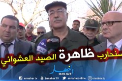 المدير العام لإدارة الغابات : نشاط الصيد عرف إعادة تنظيم كما أن الجهود قائمة لمحاربة الظاهرة