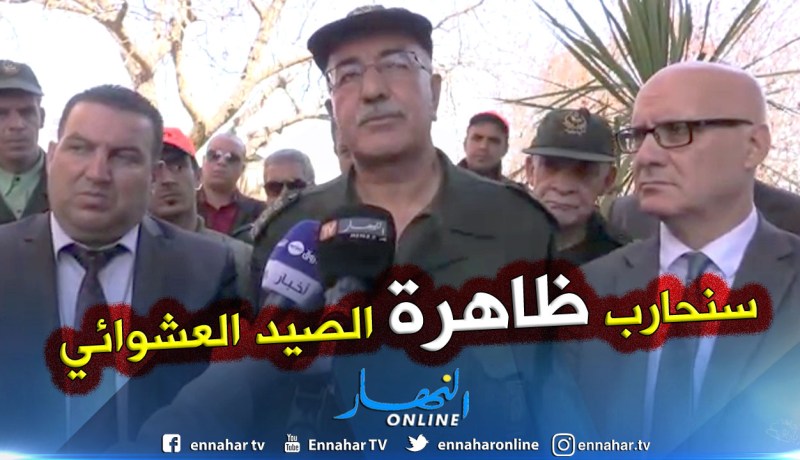 المدير العام لإدارة الغابات : نشاط الصيد عرف إعادة تنظيم كما أن الجهود قائمة لمحاربة الظاهرة