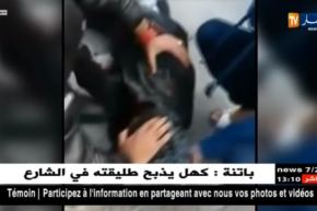 جزائريون يستثمرون في مشاهد صادمة لكسب نسب مشاهدة على الفايسبوك !!