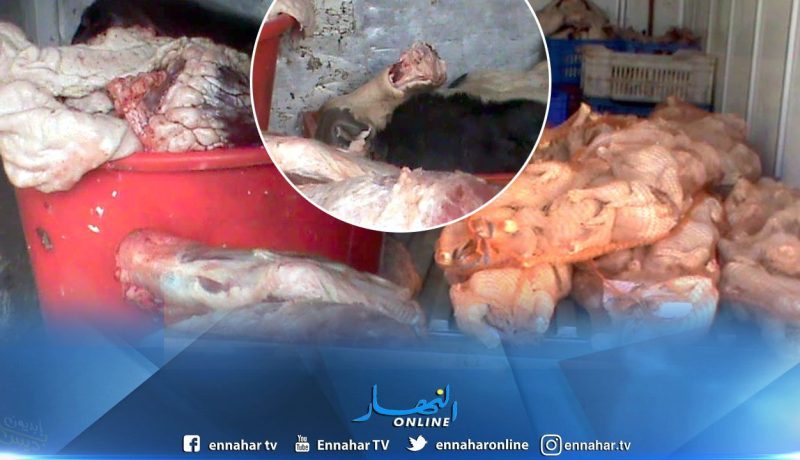 حجز أزيد من 100 كلغ من اللحوم البيضاء والحمراء بالبيض