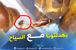 شاهد .. “ڨرلو” في وجبة فطور الصباح على متن الجوية الجزائرية