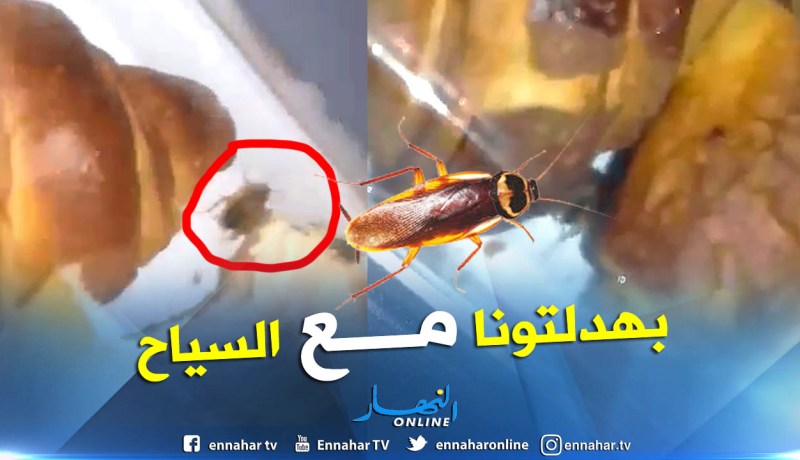 شاهد .. “ڨرلو” في وجبة فطور الصباح على متن الجوية الجزائرية