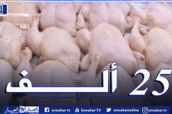 رزيق: أسعار الدجاج لن تتعدى 250 دج في رمضان