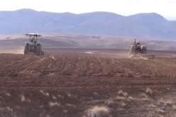 تيسمسيلت.. الإمتياز على إستغلال الأراضي الفلاحية يجر مسؤولين للمساءلة القضائية بثنية الحد !