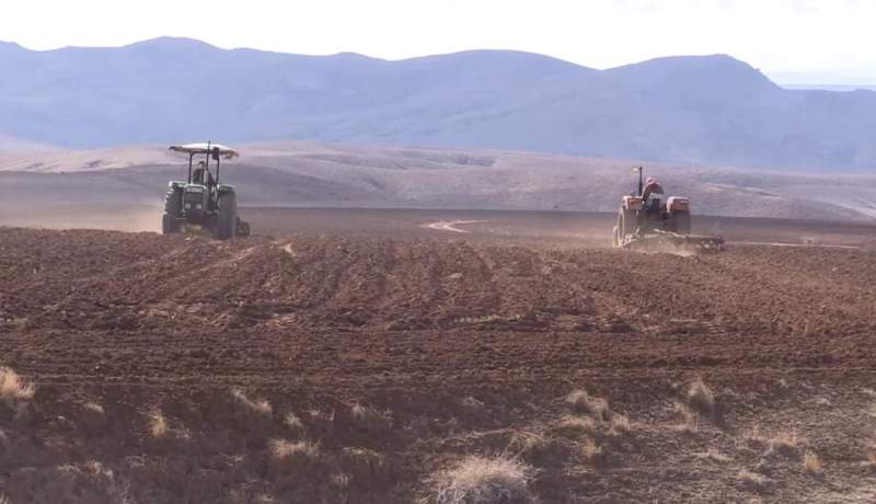 تيسمسيلت.. الإمتياز على إستغلال الأراضي الفلاحية يجر مسؤولين للمساءلة القضائية بثنية الحد !