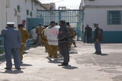 التحقيق مع مساجين شملهم العفو الرئاسي في إطار تحصّلهم على دبلوم مزوّر من المؤسسة العقابية بالبليدة