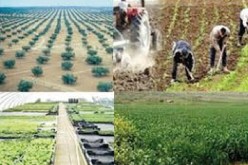 مشاركة الجزائر في الطبعة الـ11 للصالون الدولي للاغذية بمونريال