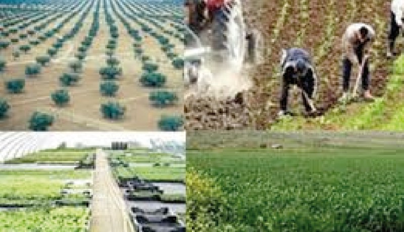 مشاركة الجزائر في الطبعة الـ11 للصالون الدولي للاغذية بمونريال