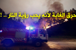 أسباب شخصية وراء نيران الغابات..!
