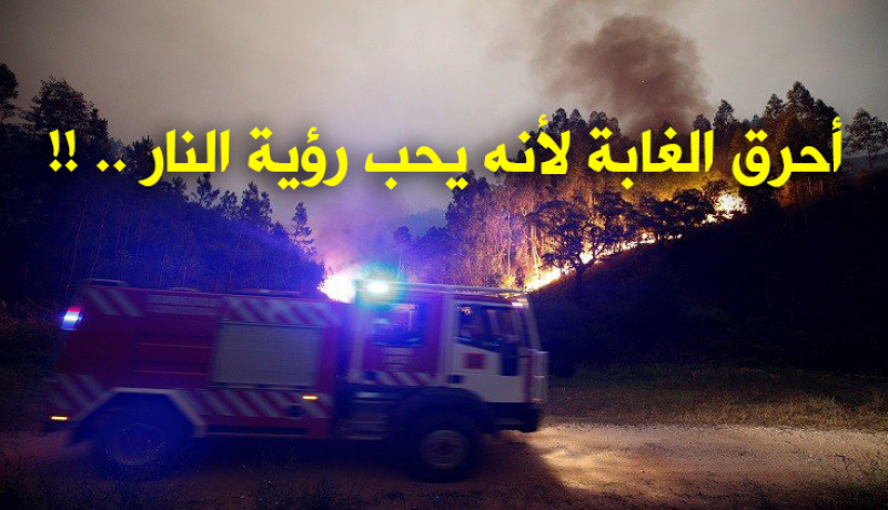 أسباب شخصية وراء نيران الغابات..!