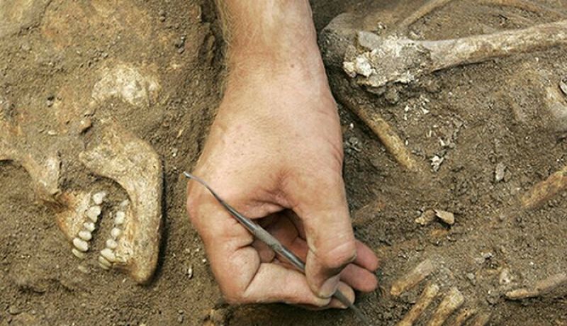 اكتشاف رفات شهيدين ببرج بن يونس في الوادي