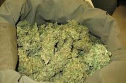 حجز 31 قنطارا من القنب الهندي قادمة من المغرب بتلمسان