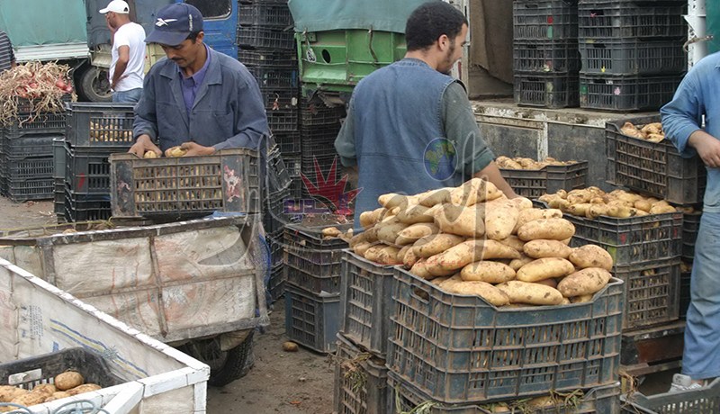 إلزام الفلاحين بمنح وثيقة عند بيع منتجاتهم في أسواق الجملة و التجزئة