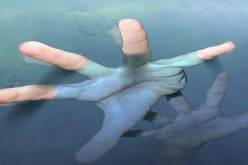 إنتشال جثتي غريقين بشاطئ الميناء الصغير في مستغانم