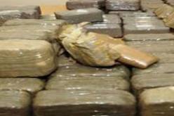 الديوان الوطني لمكافحة المخدرات يسجل ارتفاعا بـ 36 بالمائة من محجوزات القنب الهندي