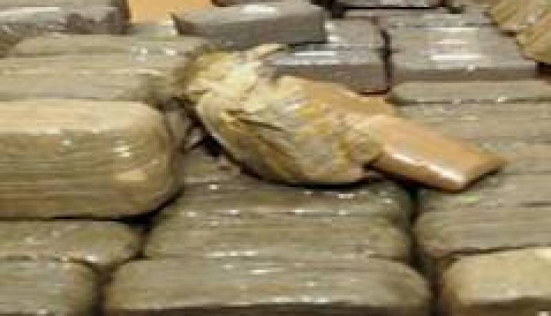 الديوان الوطني لمكافحة المخدرات يسجل ارتفاعا بـ 36 بالمائة من محجوزات القنب الهندي