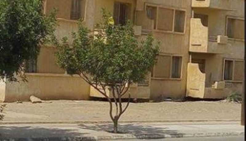 بالصور – المسيلة: لغز 40 شقة شاغرة منذ 3 عقود!