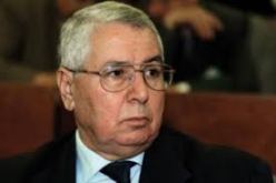 بن صالح يدعو الشباب والطلبة إلى استيعاب التحديات الكبرى التي تواجههم