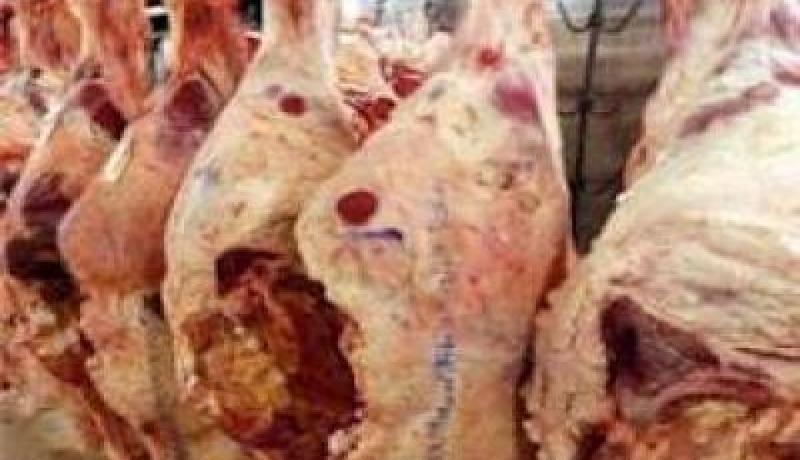 سلال يعاين مشروع إنجاز مركب جهوي للحوم الحمراء بحاسي بحبح