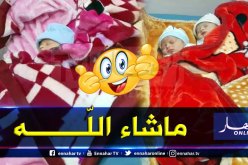 برج بوعريريج: ولادة ثلاث توائم بالمؤسسة الاستشفائية بلحسين رشيد