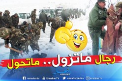 الجيش يتدخل لفك العزلة على سكان مناطق تيزي وزو بفعل الثلوج