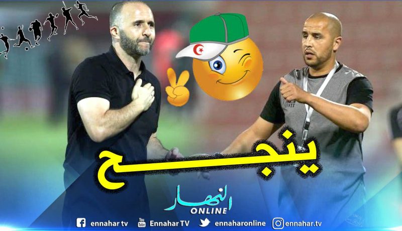 الفاف.. تعيين مجيد بوقرة مُدربا للمنتخب المحلي