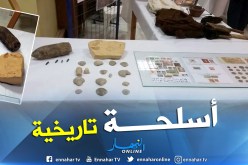 قذيفة هاون في الصالون الوطني للشباب المُجمِّع بتيسمسيلت !