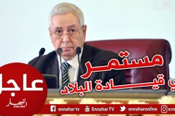 بن صالح : الوضعية الحالية تلزمني على الإستمرار في قيادة البلاد