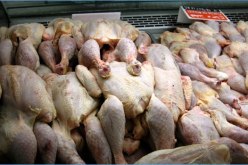 حجز كمية معتبرة من اللحوم البيضاء في أحد المحلات التجارية بسوق أهراس