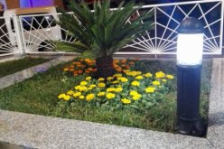 بالصور.. افتتاح ساحة وسط مدينة الشفة بعد ترميمها