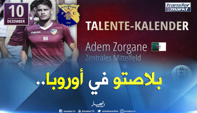 بالفيديو.. لمسات ساحرة بين زرقان الأب والإبن