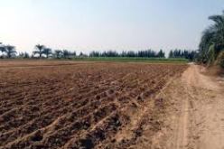 الجفاف يهدد المحاصيل الزراعية والفلاحون يستعجلون تدخل السلطات في البويرة