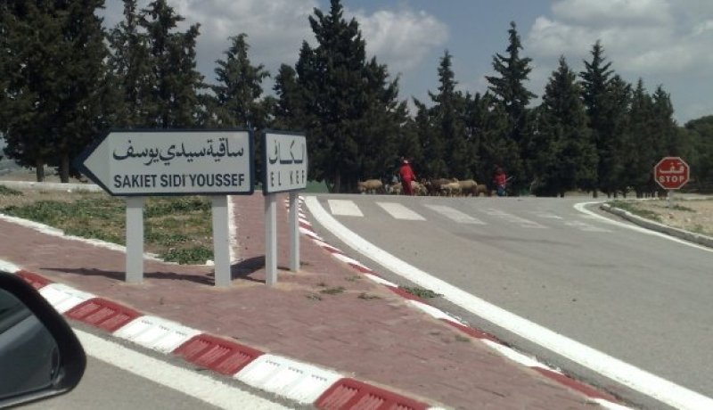 الهجمات الفرنسية ضد قرية ساقية سيدي يوسف سنة 1958 كان الهدف منها المساس بالتضامن النضالي التونسي-الجزائري