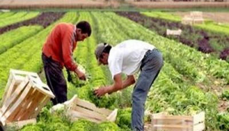 نسبة ادماج المنتوجات المؤهلة للقرض الموجه للاستهلاك من المفروض أن تساوي أو تفوق 40 بالمئة