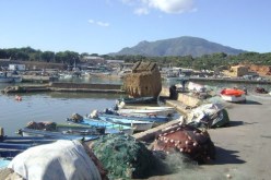 أكثر من 50 سفينة صيد تشارك في الأبحاث للعثور على الصيادين المفقودين في تيبازة