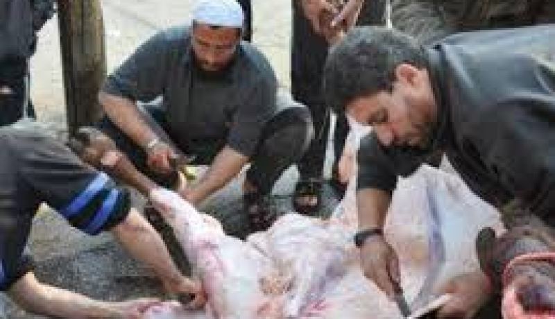 مصالح الحماية المدنية تدعو المواطنين الى التحلي بالحيطة والحذر في استعمال أدوات الاضحية