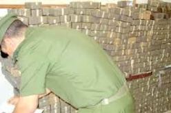 توقيف 4 مهربين وحجز 20 قنطار من الكيف في بشار