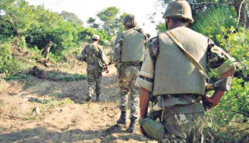 تدمير مخبأ يحتوي على 17 قنبلة وكمية من الدخيرة في تيبازة