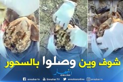 بالفيديو.. العثور على طلاسم السحر داخل دجاجة بالعطاف في عين الدفلى