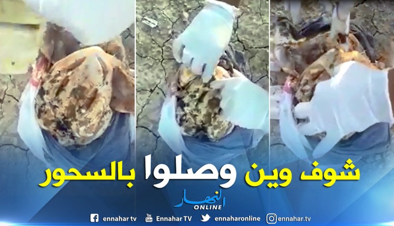بالفيديو.. العثور على طلاسم السحر داخل دجاجة بالعطاف في عين الدفلى