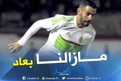 بالفيديو.. محرز:”يجب ضمان التأهل وبعد ذلك التفكير في التتويج بالكان”.