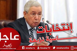 بن صالح يجدد تعهده بتنظيم انتخابات شفافة ونزيهة