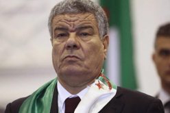 سعداني يدعو إلى بناء منظومة اتصالية تنافسية