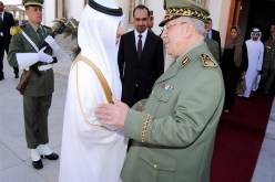 ڤايد صالح يتفاوض مع وزير الطاقة الإماراتي